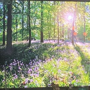 Meet your Posher, Benedicte